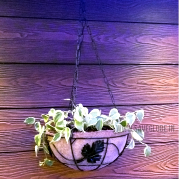 coconutcoirbasket